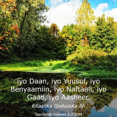 Picture 03 - Taariikhdii Kowaad 2:2 SOM - iyo Daan, iyo Yuusuf, iyo Benyaamiin, iyo - Bible Verse Picture
