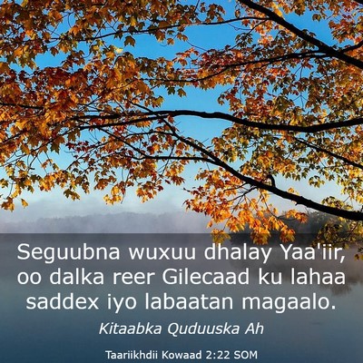 Picture 03 - Taariikhdii Kowaad 2:22 SOM - Seguubna wuxuu dhalay Yaa'iir, oo dalka reer - Bible Verse Picture
