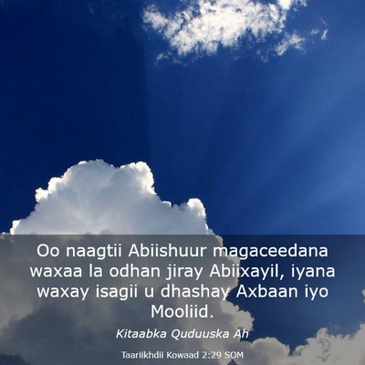 Picture 03 - Taariikhdii Kowaad 2:29 SOM - Oo naagtii Abiishuur magaceedana waxaa la odhan - Bible Verse Picture
