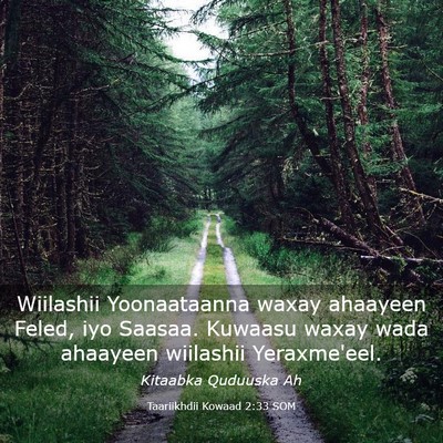 Picture 03 - Taariikhdii Kowaad 2:33 SOM - Wiilashii Yoonaataanna waxay ahaayeen Feled, iyo - Bible Verse Picture