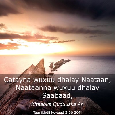 Picture 03 - Taariikhdii Kowaad 2:36 SOM - Catayna wuxuu dhalay Naataan, Naataanna wuxuu - Bible Verse Picture