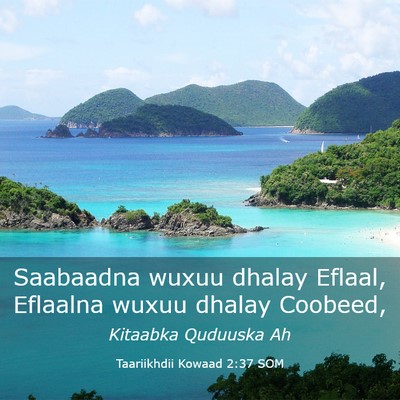 Picture 03 - Taariikhdii Kowaad 2:37 SOM - Saabaadna wuxuu dhalay Eflaal, Eflaalna wuxuu - Bible Verse Picture