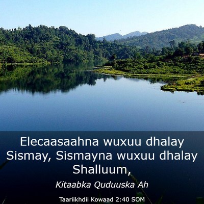 Picture 03 - Taariikhdii Kowaad 2:40 SOM - Elecaasaahna wuxuu dhalay Sismay, Sismayna wuxuu - Bible Verse Picture