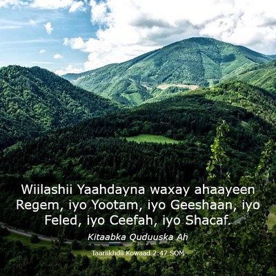 Picture 03 - Taariikhdii Kowaad 2:47 SOM - Wiilashii Yaahdayna waxay ahaayeen Regem, iyo - Bible Verse Picture