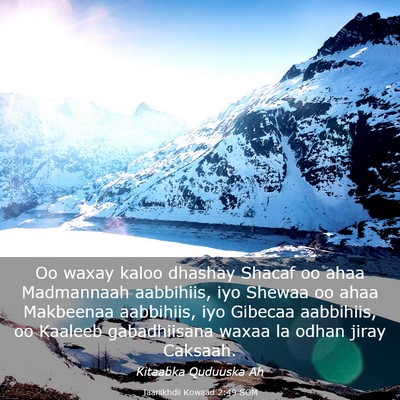 Picture 03 - Taariikhdii Kowaad 2:49 SOM - Oo waxay kaloo dhashay Shacaf oo ahaa Madmannaah - Bible Verse Picture