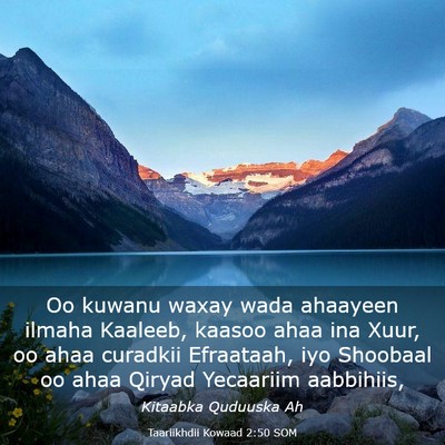 Picture 03 - Taariikhdii Kowaad 2:50 SOM - Oo kuwanu waxay wada ahaayeen ilmaha Kaaleeb, - Bible Verse Picture
