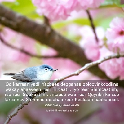 Picture 03 - Taariikhdii Kowaad 2:55 SOM - Oo karraaniyadii Yacbees degganaa - Bible Verse Picture