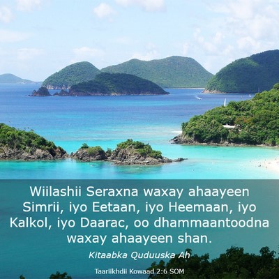 Picture 03 - Taariikhdii Kowaad 2:6 SOM - Wiilashii Seraxna waxay ahaayeen Simrii, iyo - Bible Verse Picture
