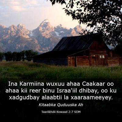 Picture 03 - Taariikhdii Kowaad 2:7 SOM - Ina Karmiina wuxuu ahaa Caakaar oo ahaa kii reer - Bible Verse Picture