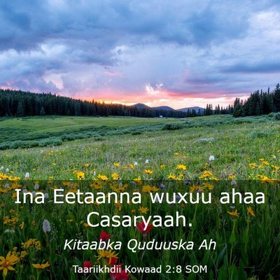 Picture 03 - Taariikhdii Kowaad 2:8 SOM - Ina Eetaanna wuxuu ahaa - Bible Verse Picture