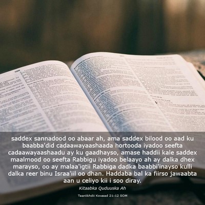 Picture 03 - Taariikhdii Kowaad 21:12 SOM - saddex sannadood oo abaar ah, ama saddex bilood - Bible Verse Picture
