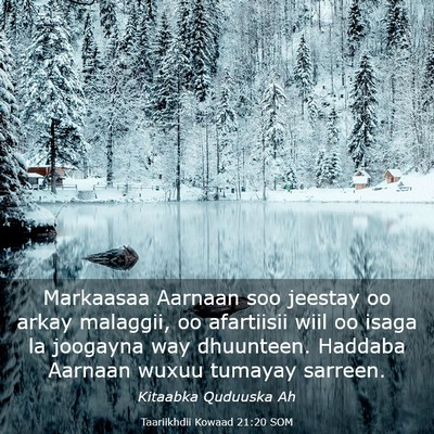 Picture 03 - Taariikhdii Kowaad 21:20 SOM - Markaasaa Aarnaan soo jeestay oo arkay malaggii, - Bible Verse Picture