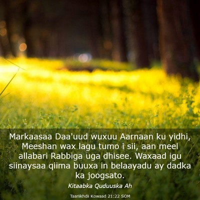 Picture 03 - Taariikhdii Kowaad 21:22 SOM - Markaasaa Daa'uud wuxuu Aarnaan ku yidhi, Meeshan - Bible Verse Picture