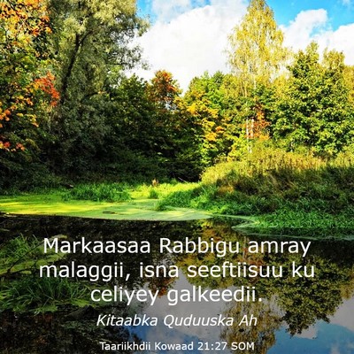 Picture 03 - Taariikhdii Kowaad 21:27 SOM - Markaasaa Rabbigu amray malaggii, isna seeftiisuu - Bible Verse Picture
