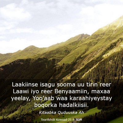Picture 03 - Taariikhdii Kowaad 21:6 SOM - Laakiinse isagu sooma uu tirin reer Laawi iyo - Bible Verse Picture