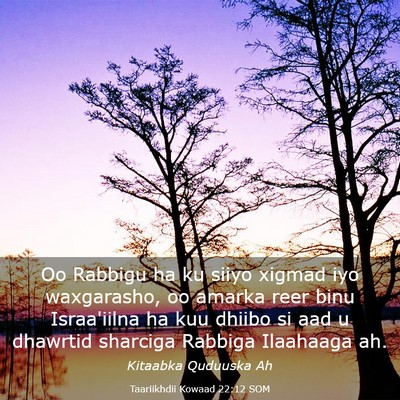 Picture 03 - Taariikhdii Kowaad 22:12 SOM - Oo Rabbigu ha ku siiyo xigmad iyo waxgarasho, oo - Bible Verse Picture