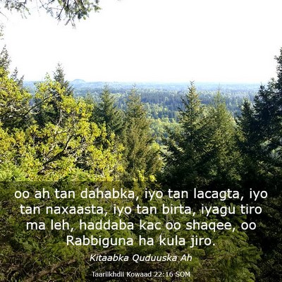 Picture 03 - Taariikhdii Kowaad 22:16 SOM - oo ah tan dahabka, iyo tan lacagta, iyo tan - Bible Verse Picture