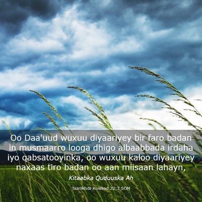 Picture 03 - Taariikhdii Kowaad 22:3 SOM - Oo Daa'uud wuxuu diyaariyey bir faro badan in - Bible Verse Picture