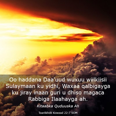 Picture 03 - Taariikhdii Kowaad 22:7 SOM - Oo haddana Daa'uud wuxuu wiilkiisii Sulaymaan ku - Bible Verse Picture
