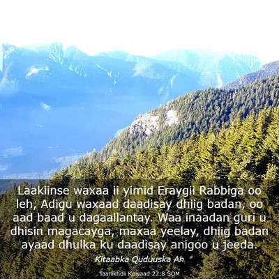 Picture 03 - Taariikhdii Kowaad 22:8 SOM - Laakiinse waxaa ii yimid Eraygii Rabbiga oo leh, - Bible Verse Picture