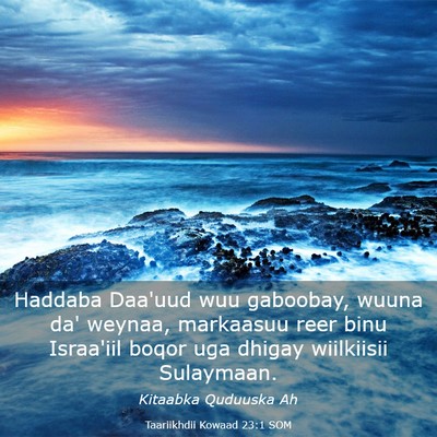 Picture 03 - Taariikhdii Kowaad 23:1 SOM - Haddaba Daa'uud wuu gaboobay, wuuna da' weynaa, - Bible Verse Picture