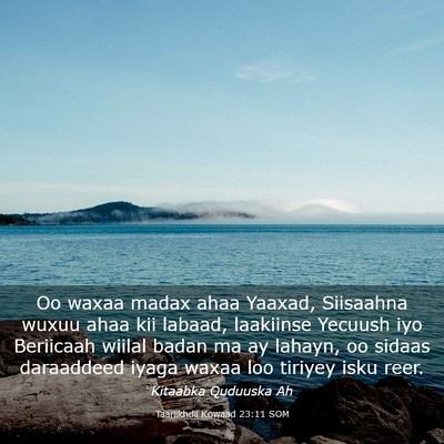Picture 03 - Taariikhdii Kowaad 23:11 SOM - Oo waxaa madax ahaa Yaaxad, Siisaahna wuxuu ahaa - Bible Verse Picture