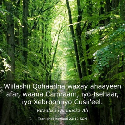 Picture 03 - Taariikhdii Kowaad 23:12 SOM - Wiilashii Qohaadna waxay ahaayeen afar, waana - Bible Verse Picture