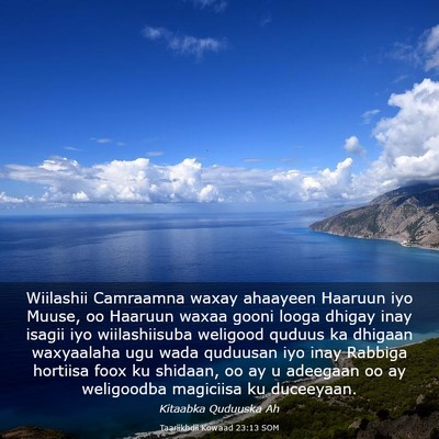 Picture 03 - Taariikhdii Kowaad 23:13 SOM - Wiilashii Camraamna waxay ahaayeen Haaruun iyo - Bible Verse Picture