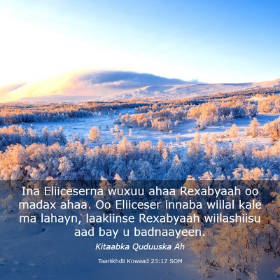 Picture 03 - Taariikhdii Kowaad 23:17 SOM - Ina Eliiceserna wuxuu ahaa Rexabyaah oo madax - Bible Verse Picture