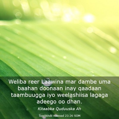 Picture 03 - Taariikhdii Kowaad 23:26 SOM - Weliba reer Laawina mar dambe uma baahan doonaan - Bible Verse Picture