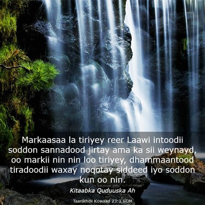 Picture 03 - Taariikhdii Kowaad 23:3 SOM - Markaasaa la tiriyey reer Laawi intoodii soddon - Bible Verse Picture