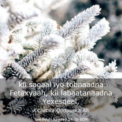 Picture 03 - Taariikhdii Kowaad 24:16 SOM - kii sagaal iyo tobnaadna Fetaxyaah, kii - Bible Verse Picture