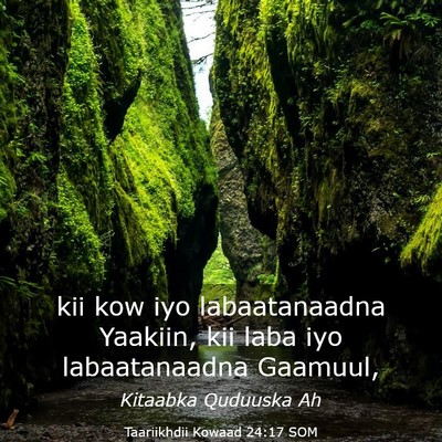 Picture 03 - Taariikhdii Kowaad 24:17 SOM - kii kow iyo labaatanaadna Yaakiin, kii laba iyo - Bible Verse Picture