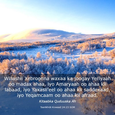 Picture 03 - Taariikhdii Kowaad 24:23 SOM - Wiilashii Xebroonna waxaa ka joogay Yeriyaah oo - Bible Verse Picture