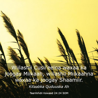 Picture 03 - Taariikhdii Kowaad 24:24 SOM - Wiilashii Cusii'eelna waxaa ka joogay Miikaah, - Bible Verse Picture
