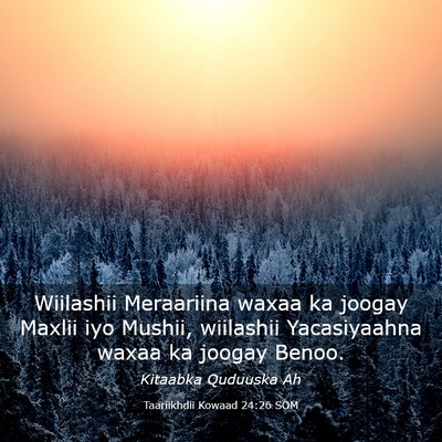 Picture 03 - Taariikhdii Kowaad 24:26 SOM - Wiilashii Meraariina waxaa ka joogay Maxlii iyo - Bible Verse Picture