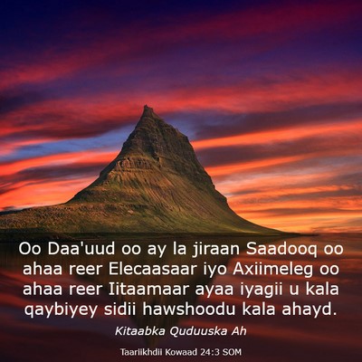Picture 03 - Taariikhdii Kowaad 24:3 SOM - Oo Daa'uud oo ay la jiraan Saadooq oo ahaa reer - Bible Verse Picture