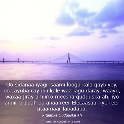 Picture 03 - Taariikhdii Kowaad 24:5 SOM - Oo sidanaa iyagii saami loogu kala qaybiyey, oo - Bible Verse Picture