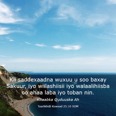Picture 03 - Taariikhdii Kowaad 25:10 SOM - Kii saddexaadna wuxuu u soo baxay Sakuur, iyo - Bible Verse Picture