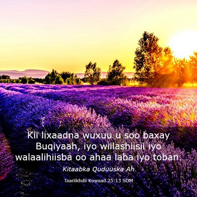 Picture 03 - Taariikhdii Kowaad 25:13 SOM - Kii lixaadna wuxuu u soo baxay Buqiyaah, iyo - Bible Verse Picture