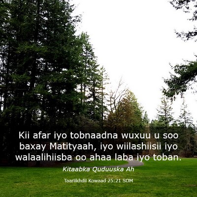 Picture 03 - Taariikhdii Kowaad 25:21 SOM - Kii afar iyo tobnaadna wuxuu u soo baxay - Bible Verse Picture