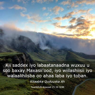 Picture 03 - Taariikhdii Kowaad 25:30 SOM - Kii saddex iyo labaatanaadna wuxuu u soo baxay - Bible Verse Picture