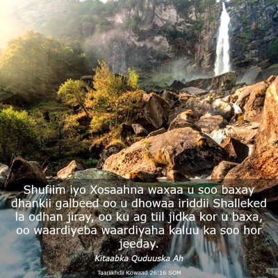 Picture 03 - Taariikhdii Kowaad 26:16 SOM - Shufiim iyo Xosaahna waxaa u soo baxay dhankii - Bible Verse Picture