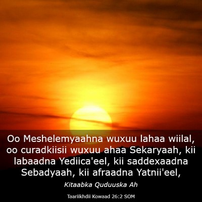 Picture 03 - Taariikhdii Kowaad 26:2 SOM - Oo Meshelemyaahna wuxuu lahaa wiilal, oo - Bible Verse Picture