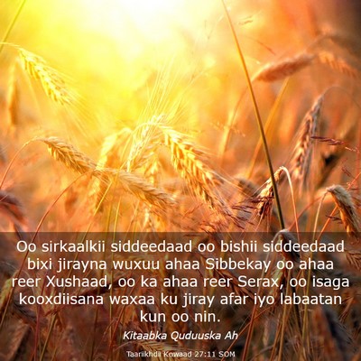 Picture 03 - Taariikhdii Kowaad 27:11 SOM - Oo sirkaalkii siddeedaad oo bishii siddeedaad - Bible Verse Picture