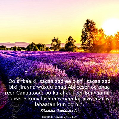 Picture 03 - Taariikhdii Kowaad 27:12 SOM - Oo sirkaalkii sagaalaad ee bishii sagaalaad bixi - Bible Verse Picture