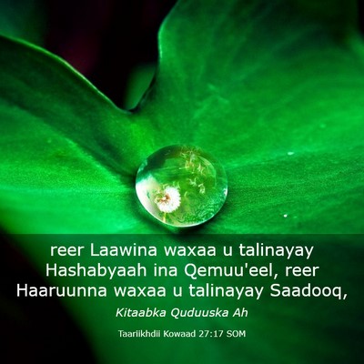Picture 03 - Taariikhdii Kowaad 27:17 SOM - reer Laawina waxaa u talinayay Hashabyaah ina - Bible Verse Picture