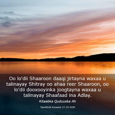 Picture 03 - Taariikhdii Kowaad 27:29 SOM - Oo lo'dii Shaaroon daaqi jirtayna waxaa u - Bible Verse Picture