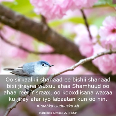 Picture 03 - Taariikhdii Kowaad 27:8 SOM - Oo sirkaalkii shanaad ee bishii shanaad bixi - Bible Verse Picture