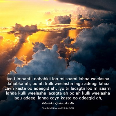 Picture 03 - Taariikhdii Kowaad 28:14 SOM - iyo tilmaantii dahabkii loo miisaami lahaa - Bible Verse Picture